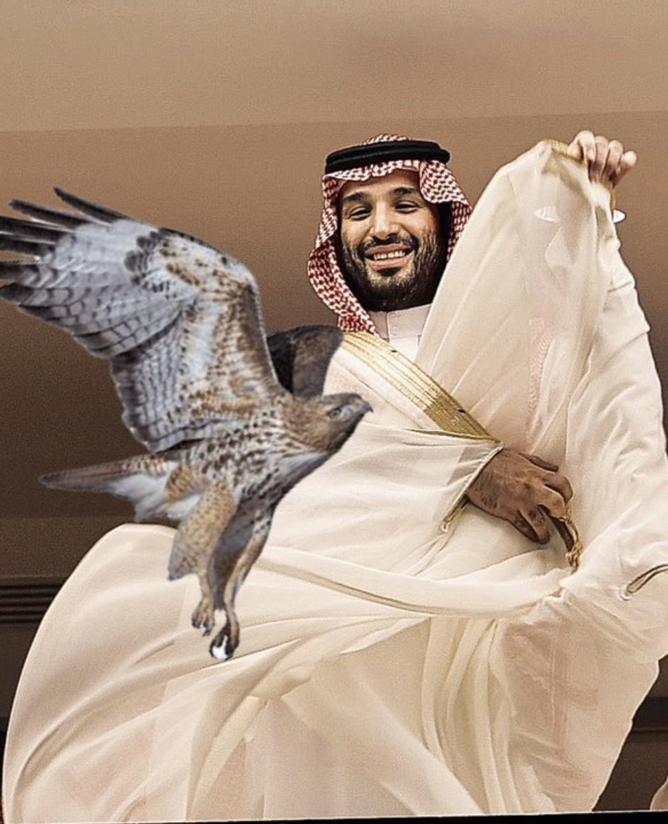 ضيدان المريخي tweet media