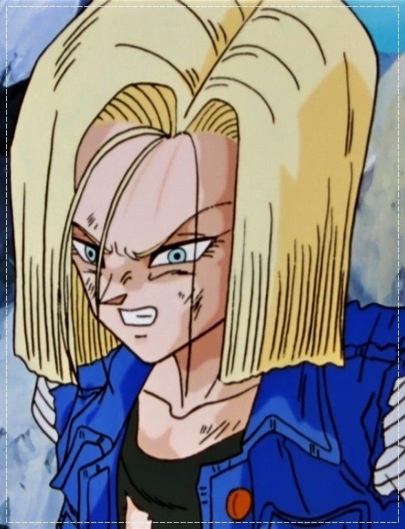 Daily_Android18's tweet image. 
