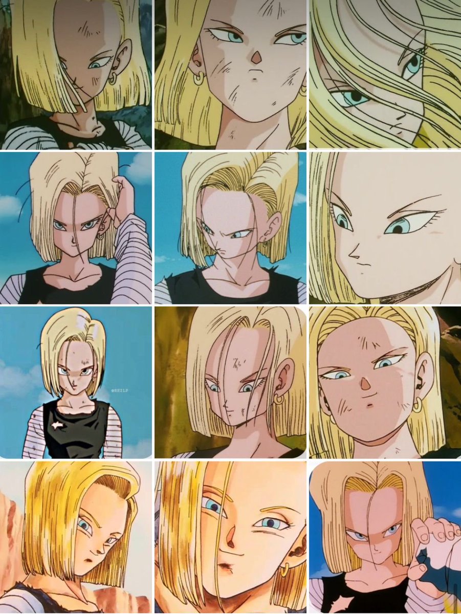 Daily_Android18's tweet image. 