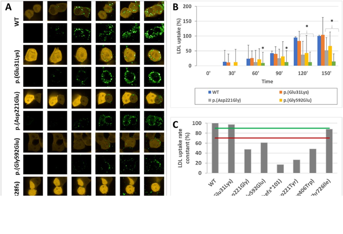 Atherosclerosis Plus tweet media