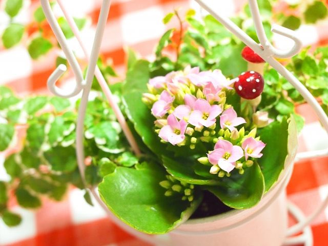 onenessacademy's tweet photo. 物事を不満に思うときは、案外自分の都合だけで考えている場合があります。 

相手の立場から見たらどうなのかという視点も忘れずに。 https://t.co/5b46uW7Gaq
