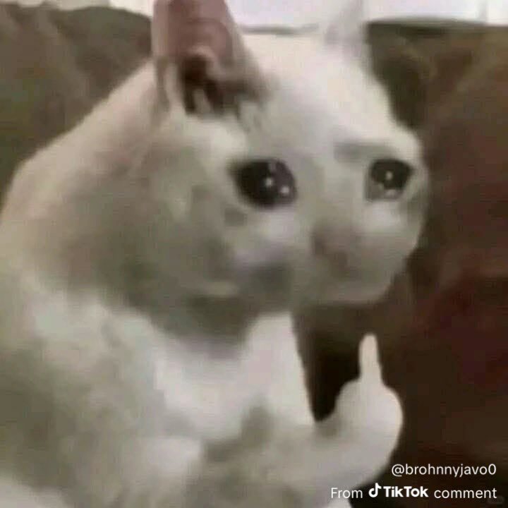 Hey guys so how fucked is fucked for a sleep schedule ? Does one night going to bed at 11-7 and the next day going to bed at 4-12 and repeated over a span of a few months fucked ? Just curious