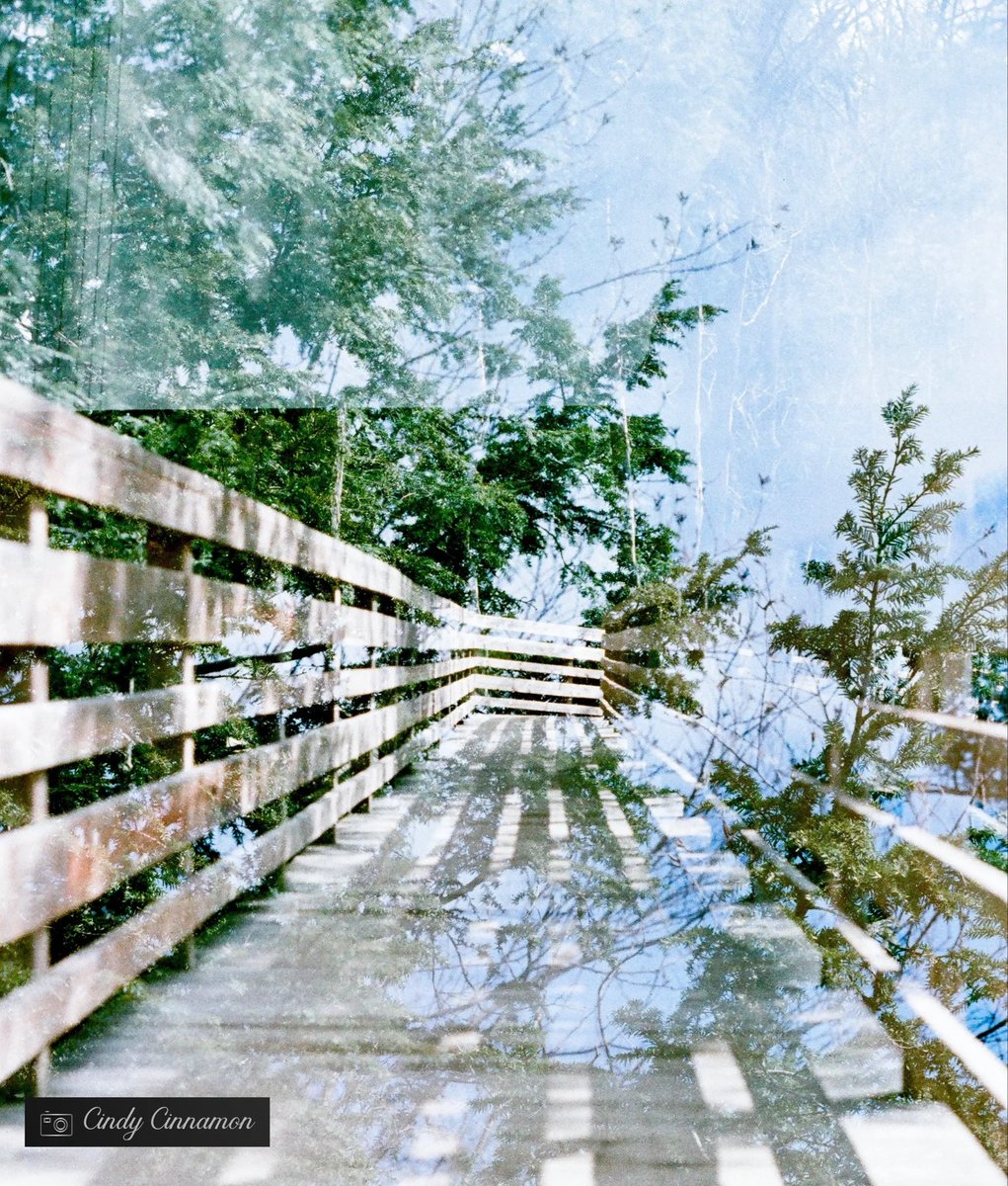 Cindy_Cinnamon's tweet photo. Quel serait le bon titre pour cette photo? 

Cindy Cinnamon Photographie
https://t.co/g7SV9JrYvu
Pentax KM 
LomoChrome 92 100 - Double Exposition

#FilmPhotography #100ISO #StayAnalogue #Lomo92 #AsahiPentax #PentaxKM #35mm #Pentax #ColorFilm #Art #LomoChrome92 #Quebec #Canada https://t.co/zAAjzBg6Jt