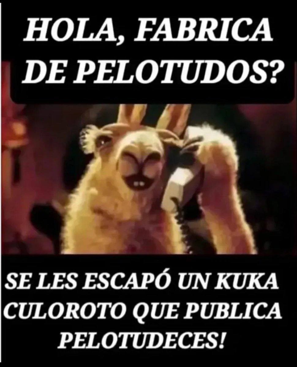 El Gallo de Zona Sur tweet media