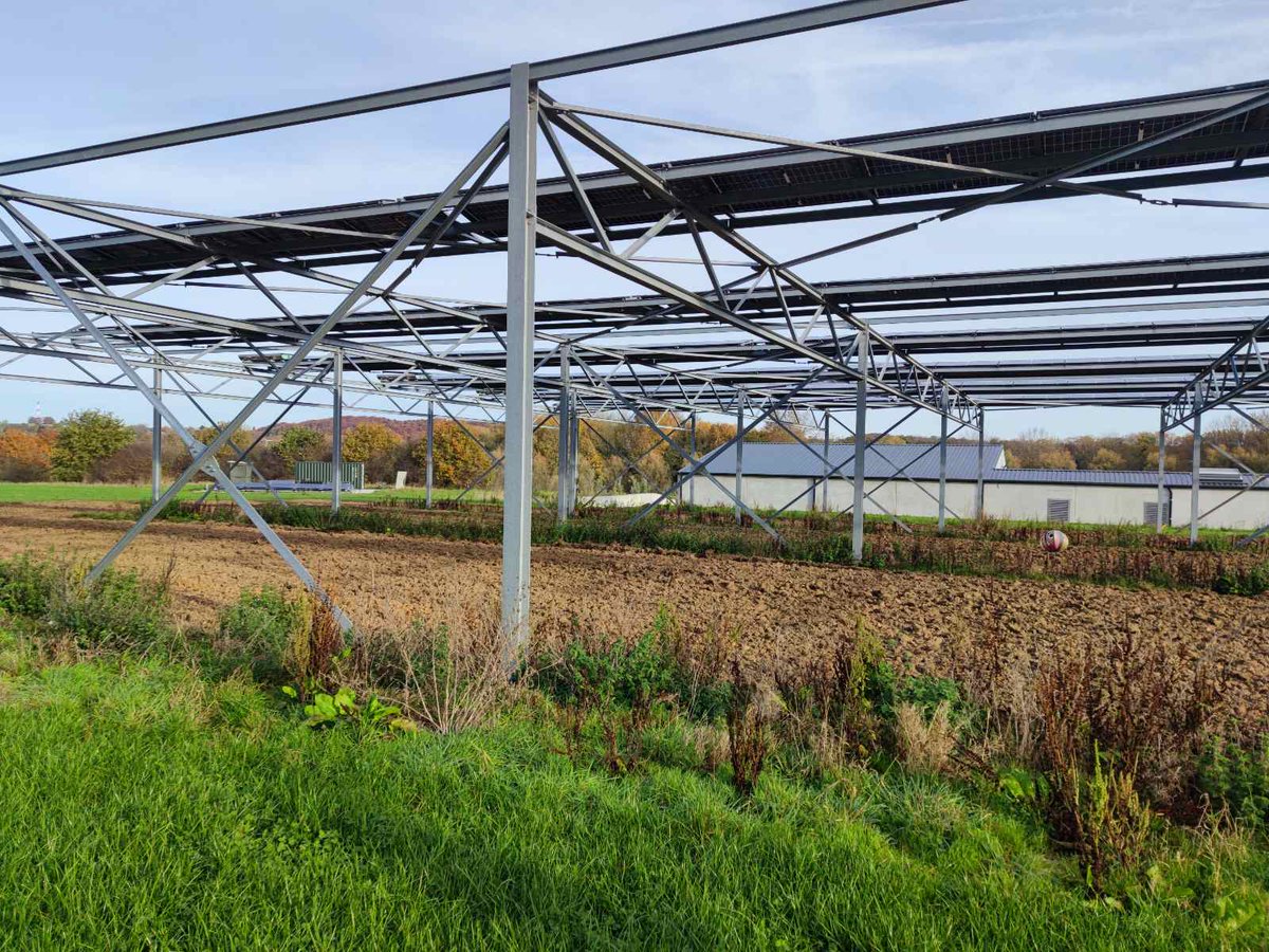 Project EAGER tweet media