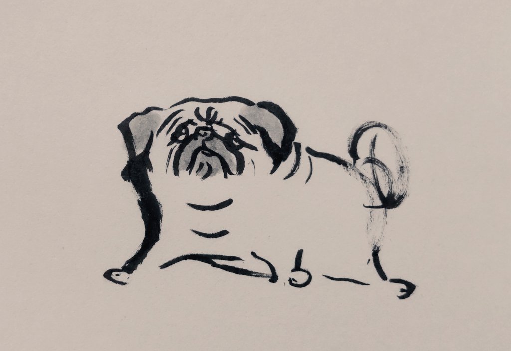 jissunboshi96's tweet photo. 人は裏切る。努力も裏切る。でも、
パグは裏切らない。そんな顔をしてる。 https://t.co/z2z2KnO7Jv