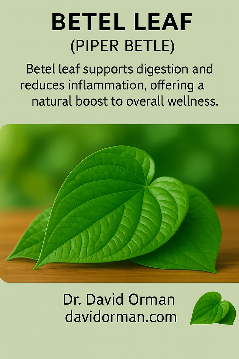 CFLSystema's tweet image. Read more here:  davidorman.com/2025/11/18/the…