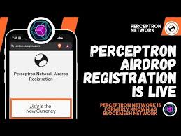 Hello fam

finally after almost a year <a href="/PerceptronNTWK/">Perceptron Network</a>  TGE is here 
these are my stats of my node running 

today airdrop registration form has dropped by team 
if you guys participated in <a href="/PerceptronNTWK/">Perceptron Network</a>  dont forget to fill that form 

#perceptron