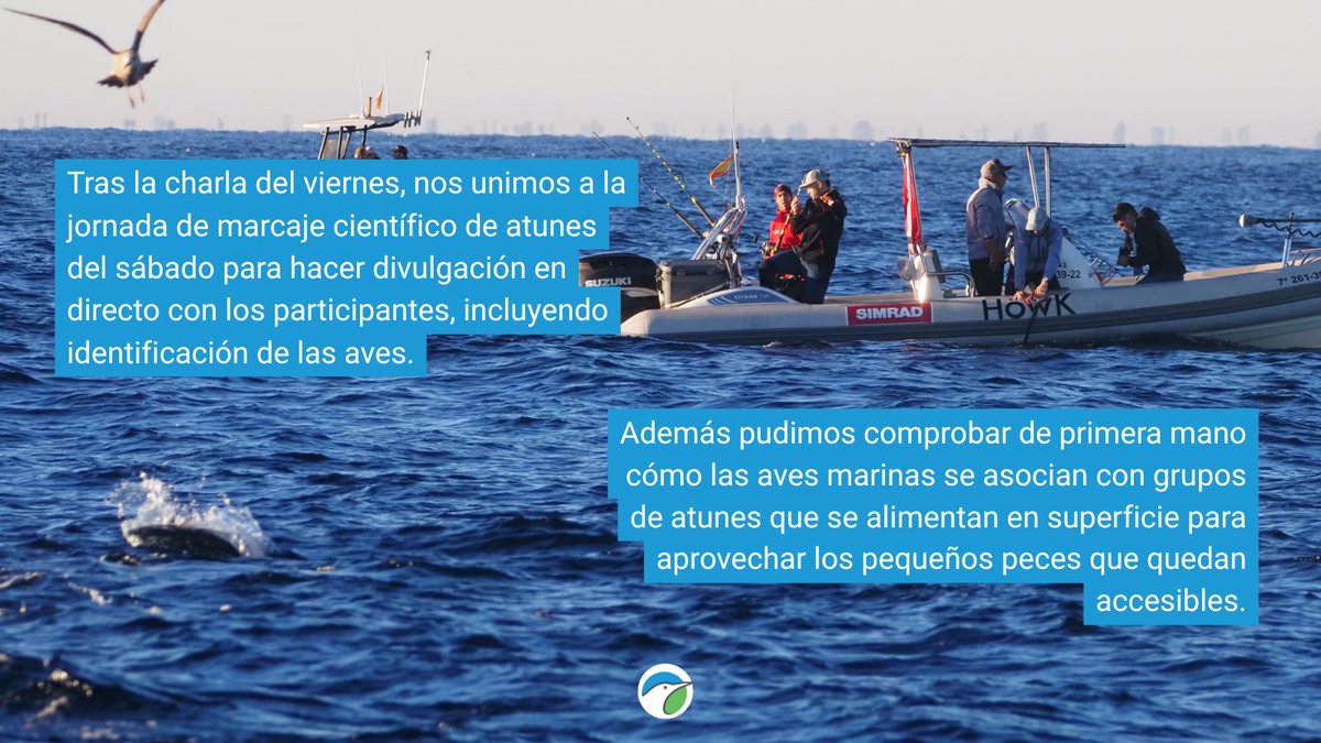 SEO_BirdLife's tweet image. Este fin de semana hemos ido hasta l’Ametlla de Mar para participar en la última misión del año del #TaggingTour de @scientificangler. ¡Te lo contamos en las imágenes! 👇

#MARAVES #ProgramaPleamar #FEMPA @FBiodiversidad 

📷 Dani Rey y @marcobiols_