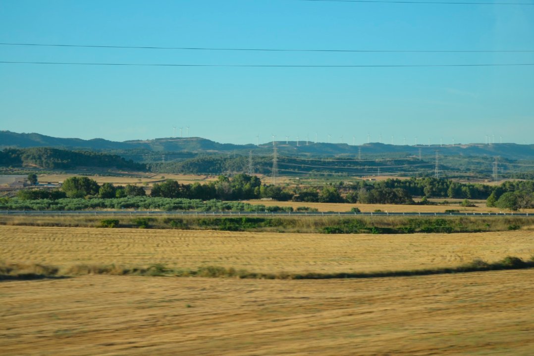 Obrim la primera convocatòria pública per facilitar l’accés a terres agràries en desús.

🗺 S’ofereixen una quarantena de parcel·les en forma d'arrendament.
👩🏻‍🌾  Es prioritzarà la incorporació de dones i joves al sector.

gen.cat/4r7texB