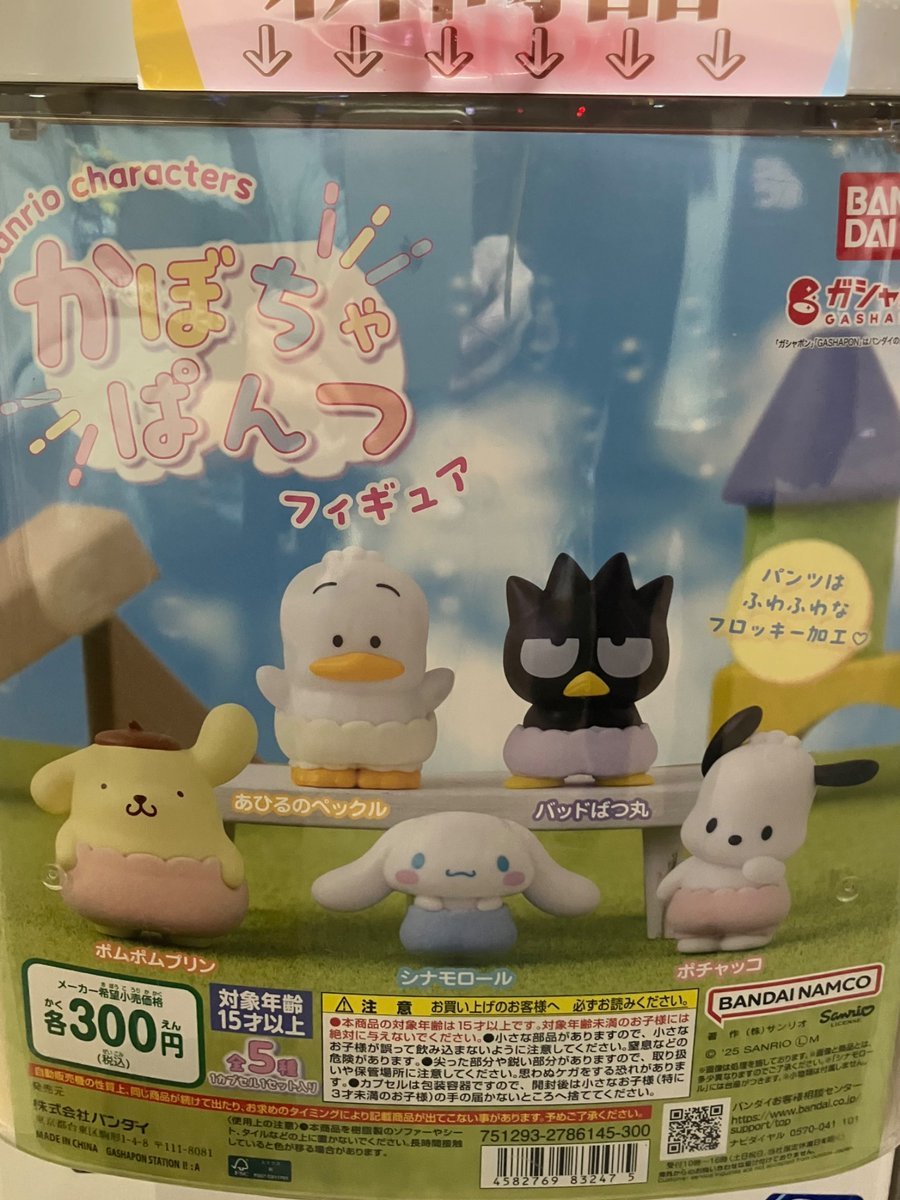 新商品入荷情報🦉📢 #サンリオキャラクターズ かぼちゃぱんつ