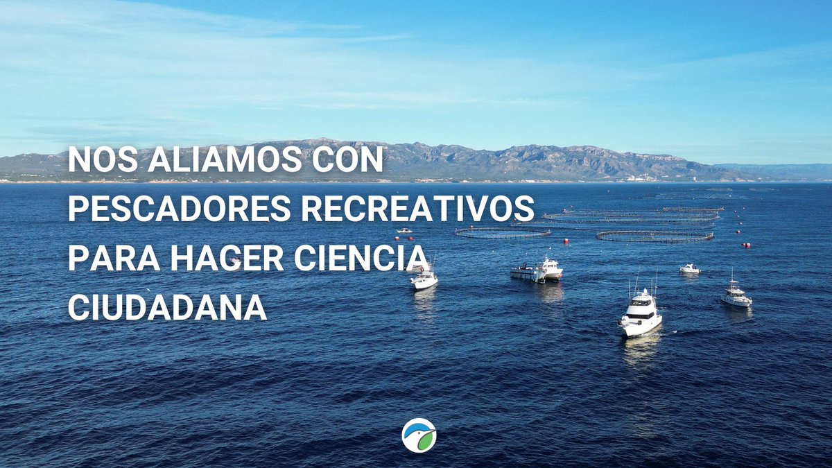 SEO_BirdLife's tweet image. Este fin de semana hemos ido hasta l’Ametlla de Mar para participar en la última misión del año del #TaggingTour de @scientificangler. ¡Te lo contamos en las imágenes! 👇

#MARAVES #ProgramaPleamar #FEMPA @FBiodiversidad 

📷 Dani Rey y @marcobiols_