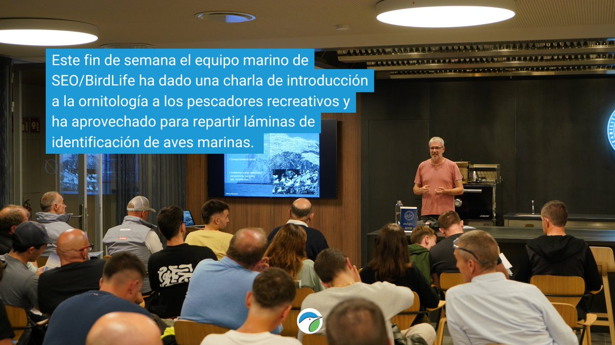 SEO_BirdLife's tweet image. Este fin de semana hemos ido hasta l’Ametlla de Mar para participar en la última misión del año del #TaggingTour de @scientificangler. ¡Te lo contamos en las imágenes! 👇

#MARAVES #ProgramaPleamar #FEMPA @FBiodiversidad 

📷 Dani Rey y @marcobiols_