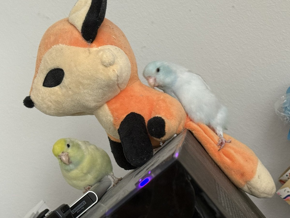 キセ (@kise12411119) on Twitter photo 