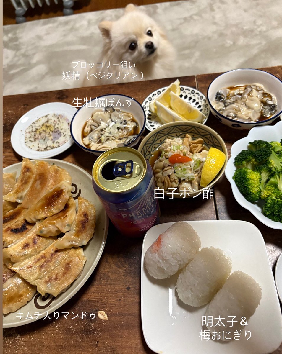 r26_sc's tweet photo. うちも今夜は餃子にしましたー🥟
ポメラニアンちゃまです https://t.co/25tKglCO9a