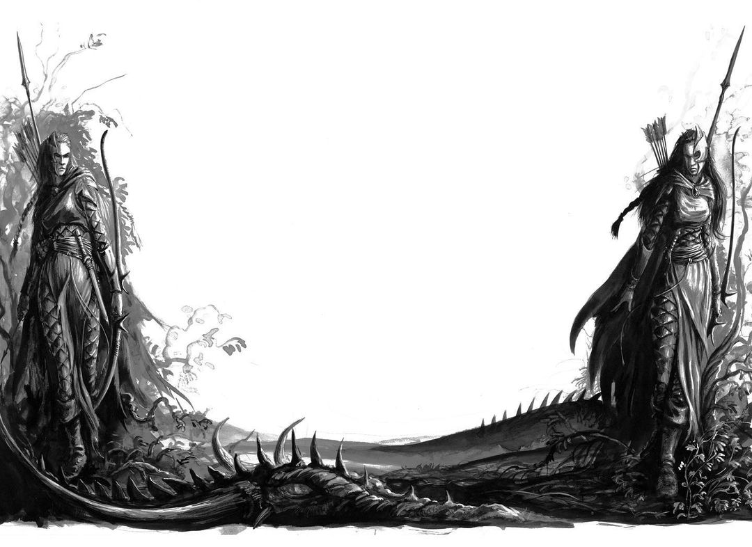 Naestra and Arahan, the "Sisters of Twilight," are legendary heroes of Athel Loren, and, much like Teclis and Tyrion of Ulthuan, are Elven twins of unusual circumstance.👩‍🦰👩

"One soul in two bodies" is a good way to describe the sisters.

Art by David Gallagher.🎨
#WarhammerArt