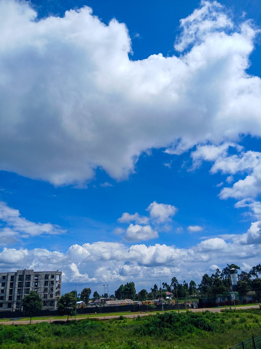 shikanda_01's tweet photo. How clear is your phone camera?
#GalaxyA15 https://t.co/LgymdCcSaH