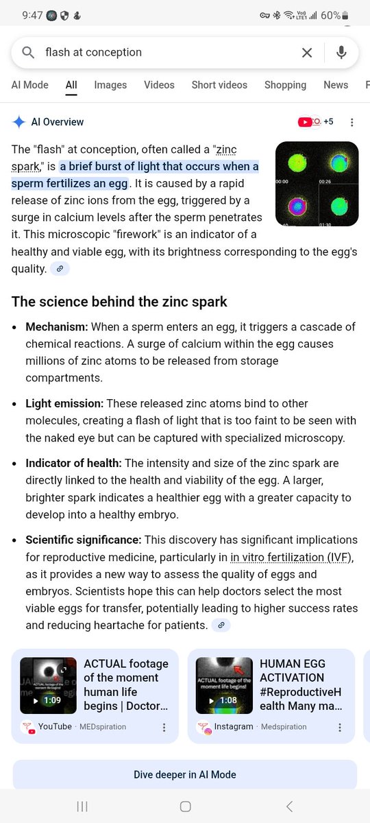 tobjectpascal's tweet image. Not what i asked for but

What if we are a simply an egg, the big
 bang is the equivalent to fertilization/conception