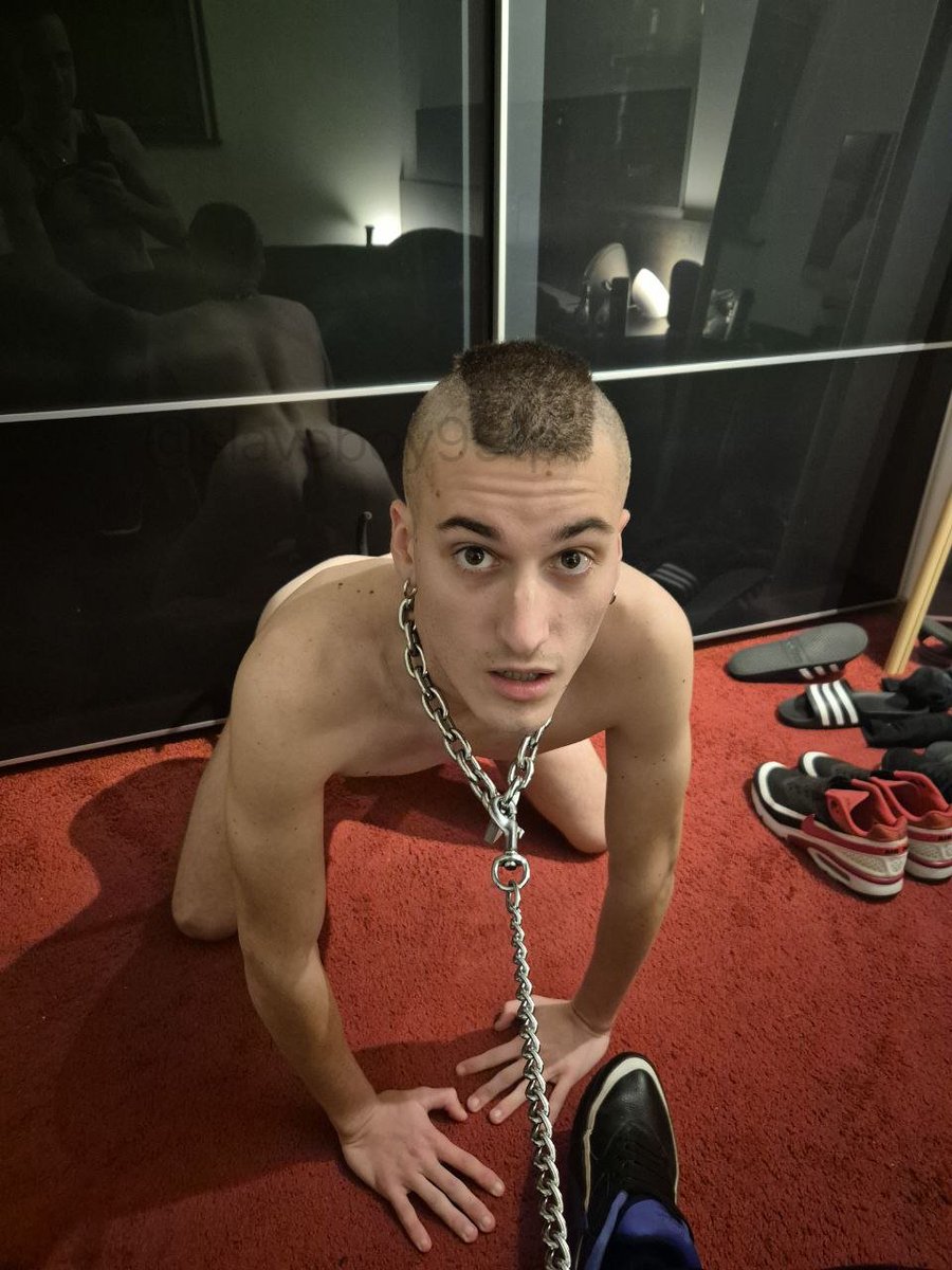 GabberMaster's Property tweet media