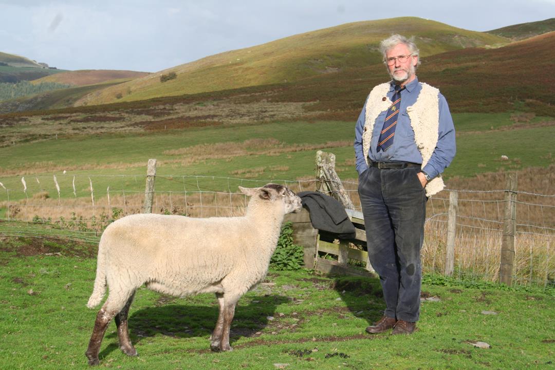 NuitduCourt's tweet image. Quel programme te tente le plus dans le deuxième créneau ? 😻

22h30 - UNDERGROUND 
22h45 - COMME UNE FILLE
22h45 - CARTE BLANCHE À LAUSANNE MÉDITERRANÉES 
23h00 - DRAMATIC RELATIONSHEEP 
23h00 - LES PIEDS DANS L'EAU ET LA TÊTE EN FEU