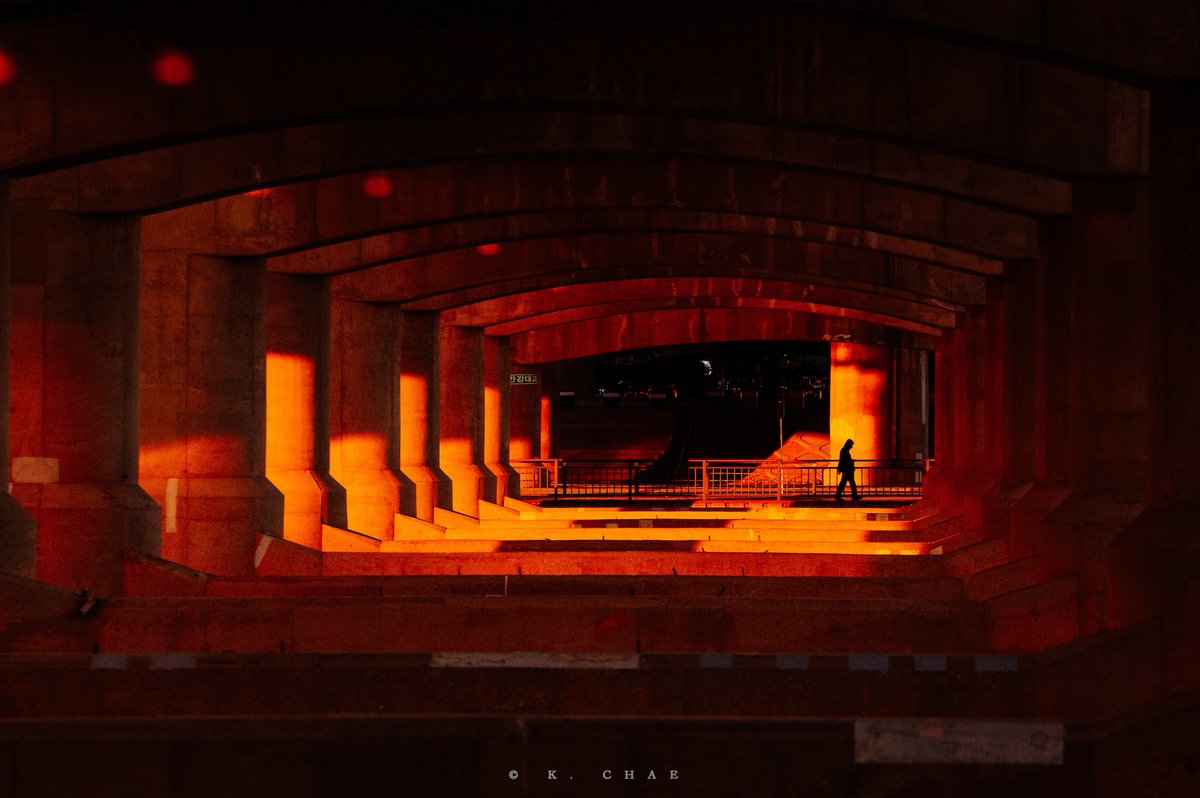 Afternoon Lights
오후의 빛