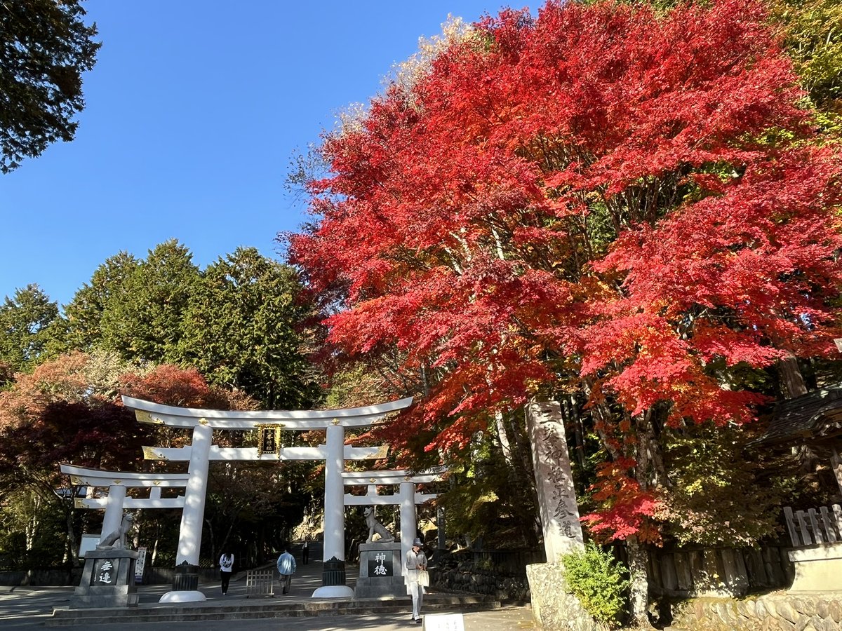achiachi_stone's tweet photo. 当アカウントは、たまに民俗学（国内の狼信仰、ニホンオオカミ関連中心）を真面目に語ったり、けもフレで可愛いものを見たときに盛大に狂ったり、けもフレイラストを投稿したりする一人のオタクの他愛無い杯盤狼藉アカウントです。ミュート、ブロックはご遠慮なさらず。以後、万事万端お頼申します🙏 https://t.co/sMd7psyIOX