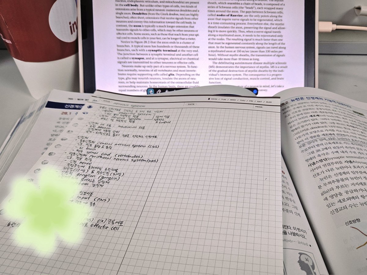 studystudyday's tweet image. 추우니까 코코아랑❄️