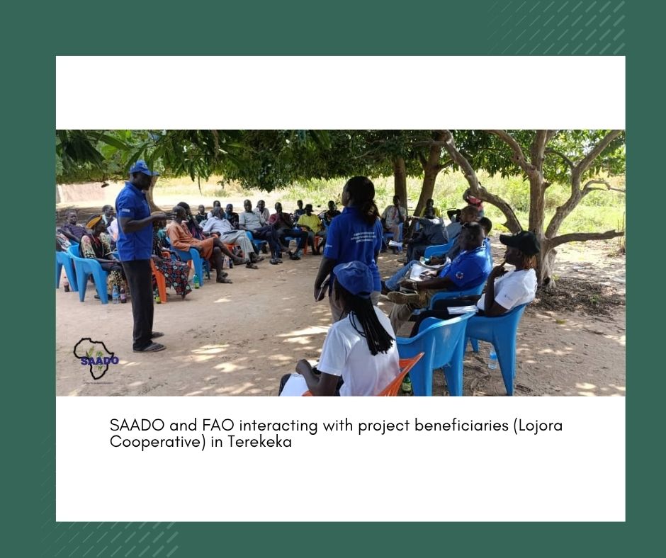 SAADO_SSD's tweet image. Collaboration and Donor Engagement
Joint visit with SAADO, RRC, CAD and @FAO #SSD for GRACE project in Terekeka. The Collaborative visit gave a clear view of the progress communities are making through #ValueAddition to improve food security. 
#SAADORebuilds. #ResilienceInAction