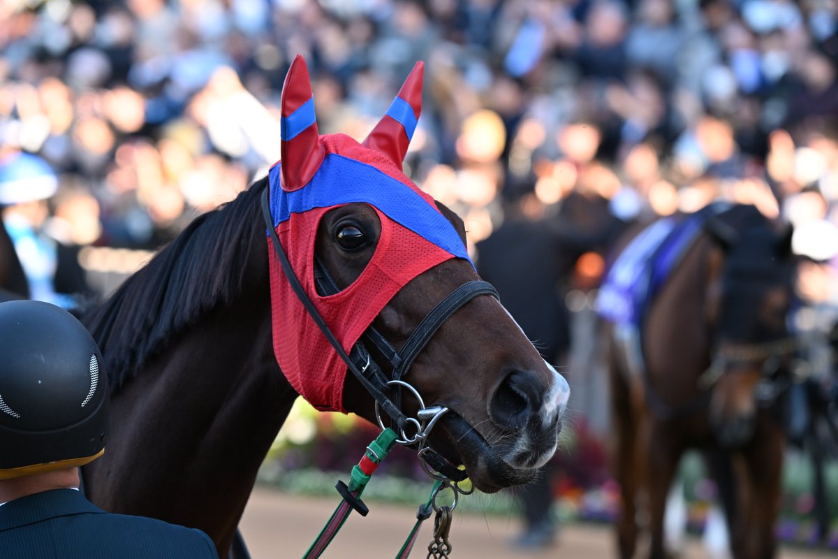 ドゴン族の勇者と馬 THE BRAVE FIGHTER EXKIZER】TAKARA MP King Exkaiser wotafa's review