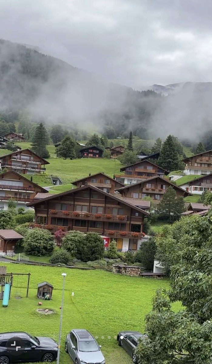 soosif's tweet image. 🇨🇭🤍