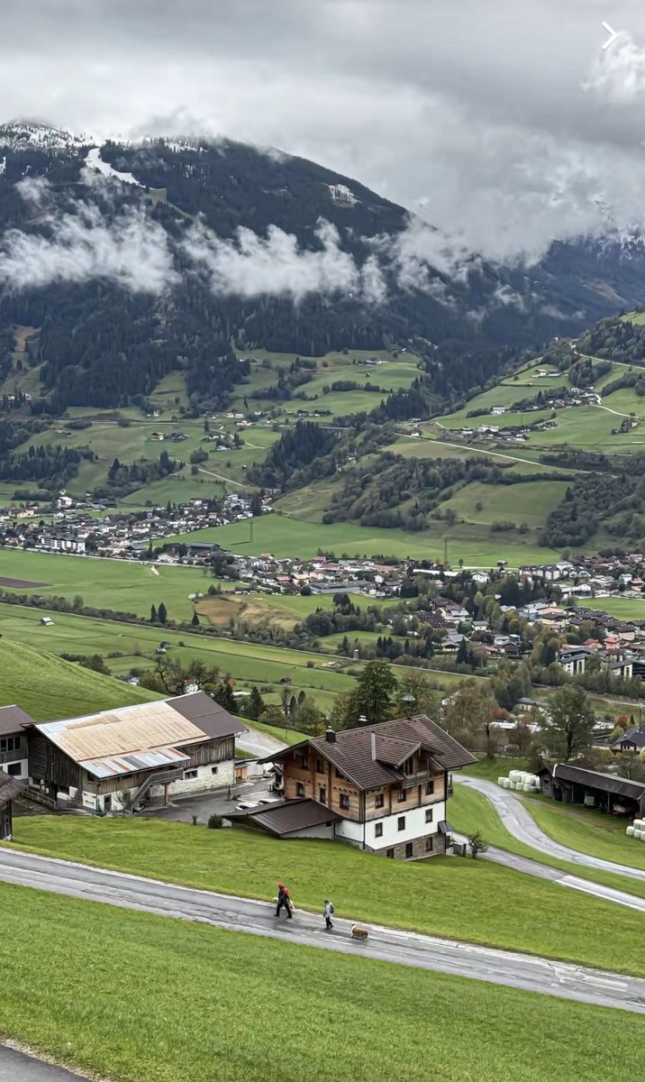 soosif's tweet image. 🇨🇭🤍