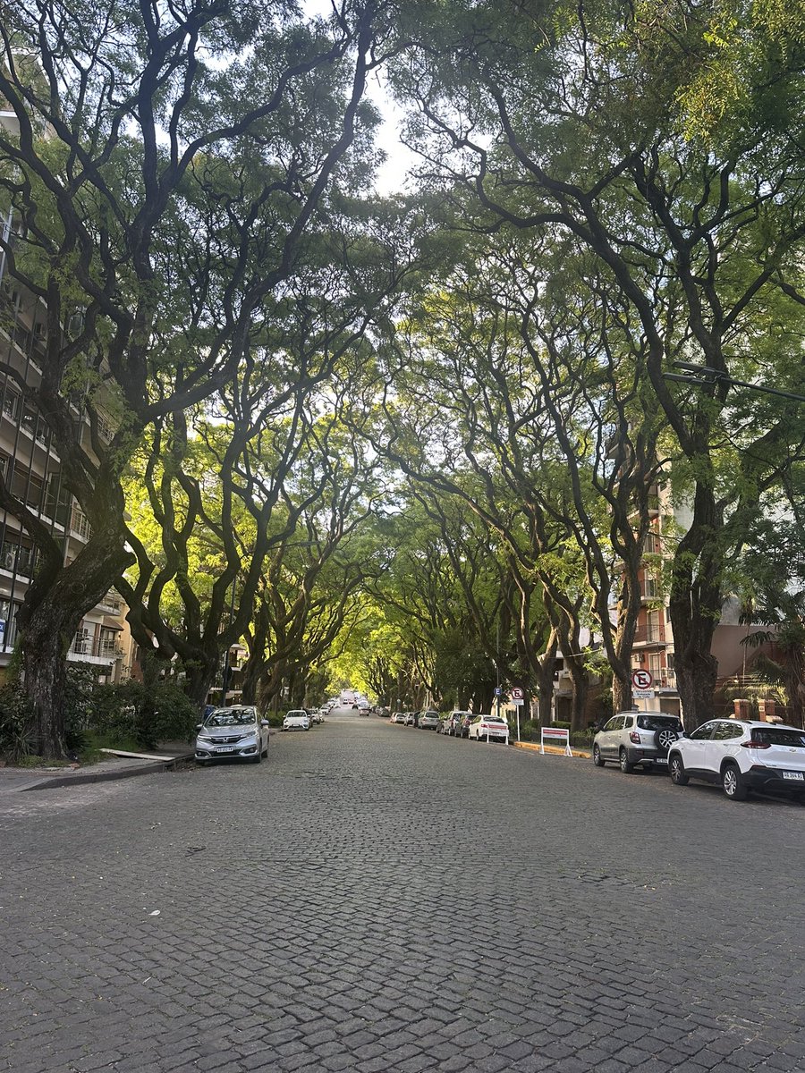 robmk_xyz's tweet image. Gm Buenos Aires

Really missed this city 

#devcon #devconnect