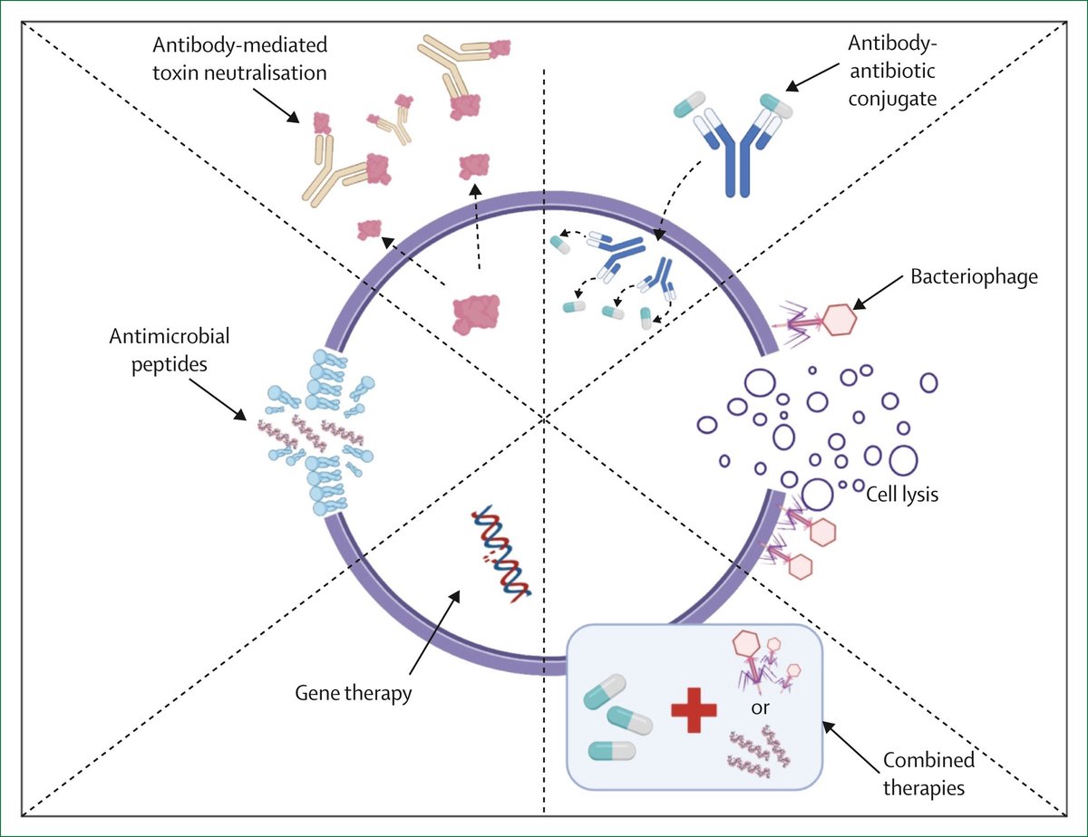 Antimicrobial resistance (AMR) is a serious threat to health, with approximately 5 million associated deaths in 2019 alone.

A Review in <a href="/LancetMicrobe/">The Lancet Microbe</a> highlights the urgent need to address the ongoing global effects of AMR: hubs.li/Q03TJq1r0 #WorldAMRAwarenessWeek