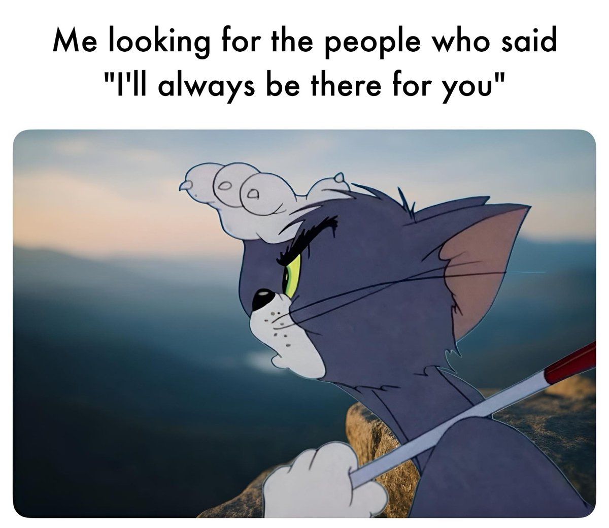 Funny Tweets tweet media