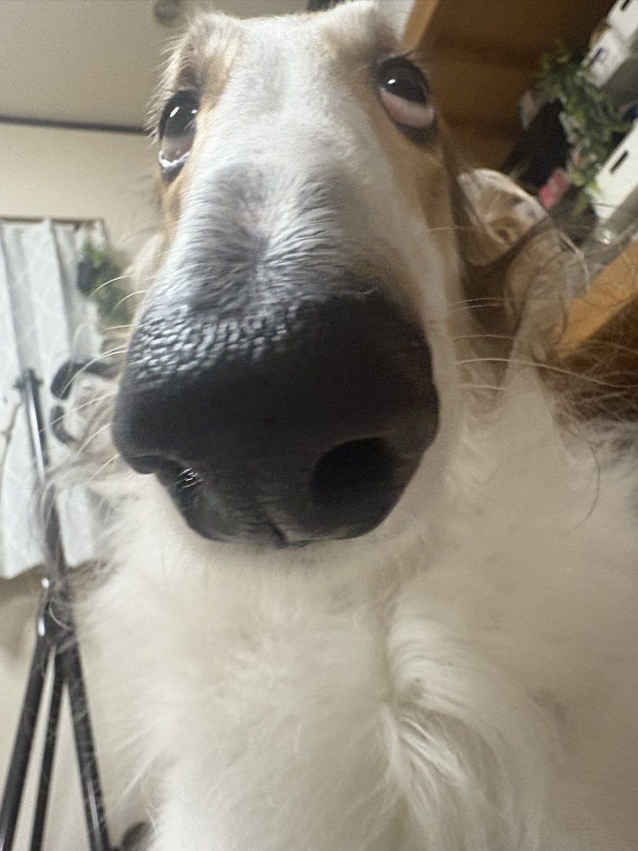 (*˘︶˘*).｡.:*♡