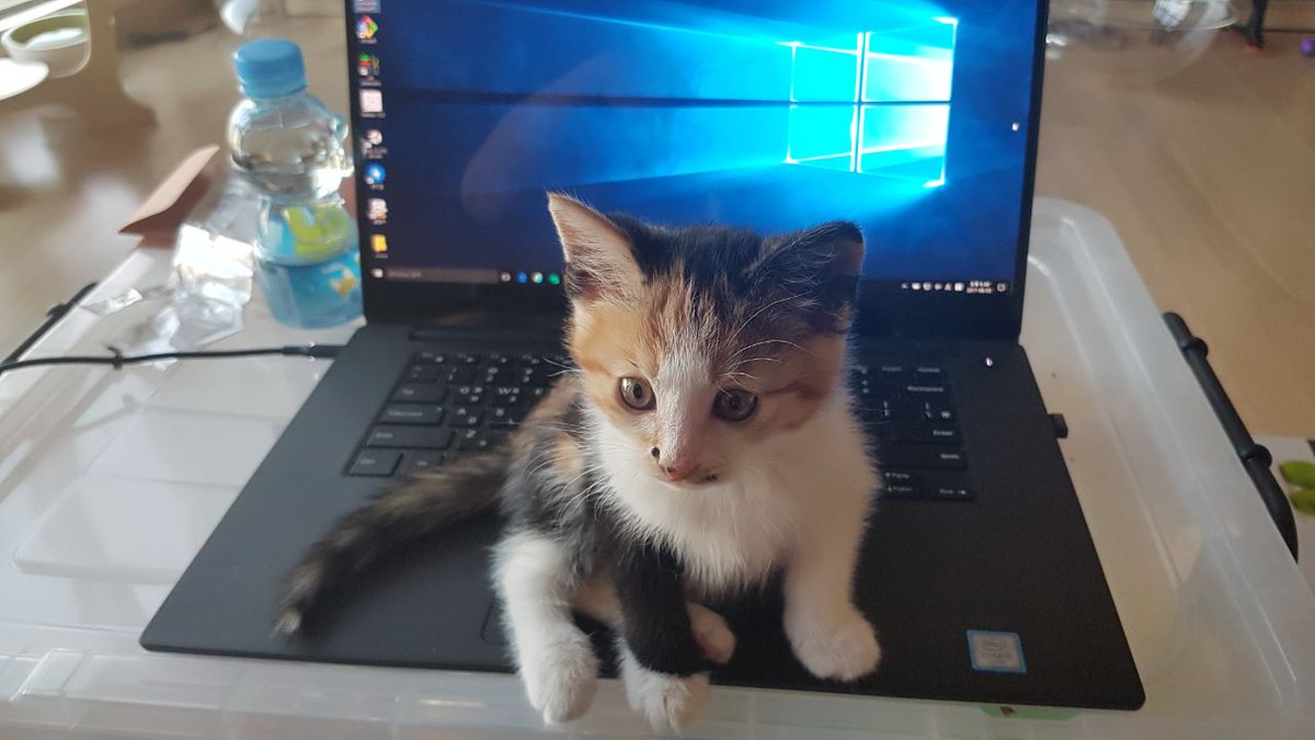 원래 아기들이 전자기기 같은거 빨리 익힘