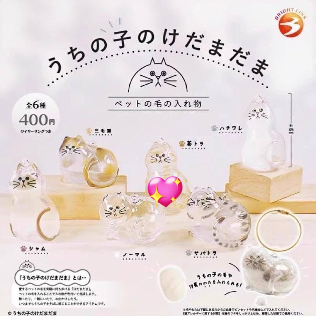 麻衣@取引垢 tweet media