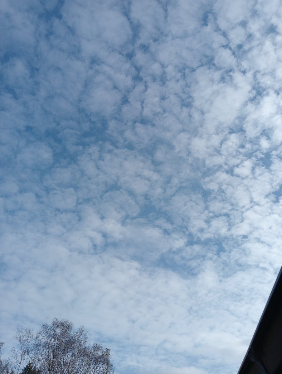 Lavante21575499's tweet image. The Netherlands, November 18th, 12:30pm. spraying and frequency warfare.  #geoengineering #bioterrorism #HAARP #NEXRAD #DOPPLER #EISCAT This needs to STOP NOW!!