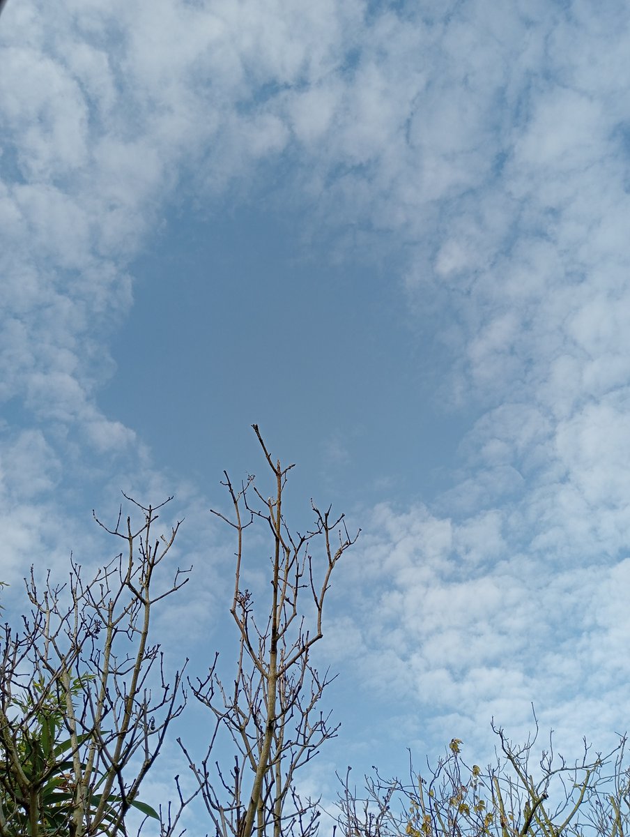 Lavante21575499's tweet image. The Netherlands, November 18th, 12:30pm. spraying and frequency warfare.  #geoengineering #bioterrorism #HAARP #NEXRAD #DOPPLER #EISCAT This needs to STOP NOW!!