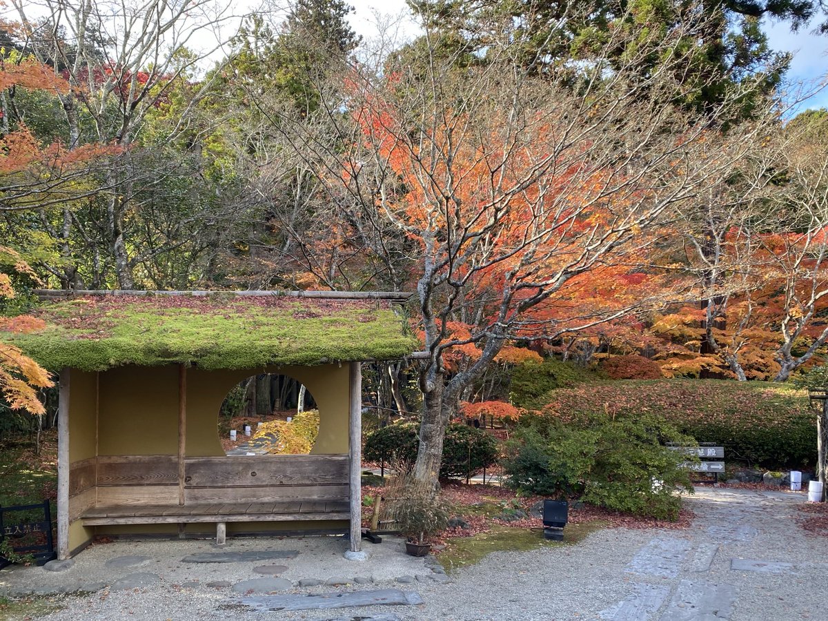 宮城の木造
円通院

素晴らしいお天気の下、美しい紅葉に恵まれた境内を巡る幸運をいただきました。