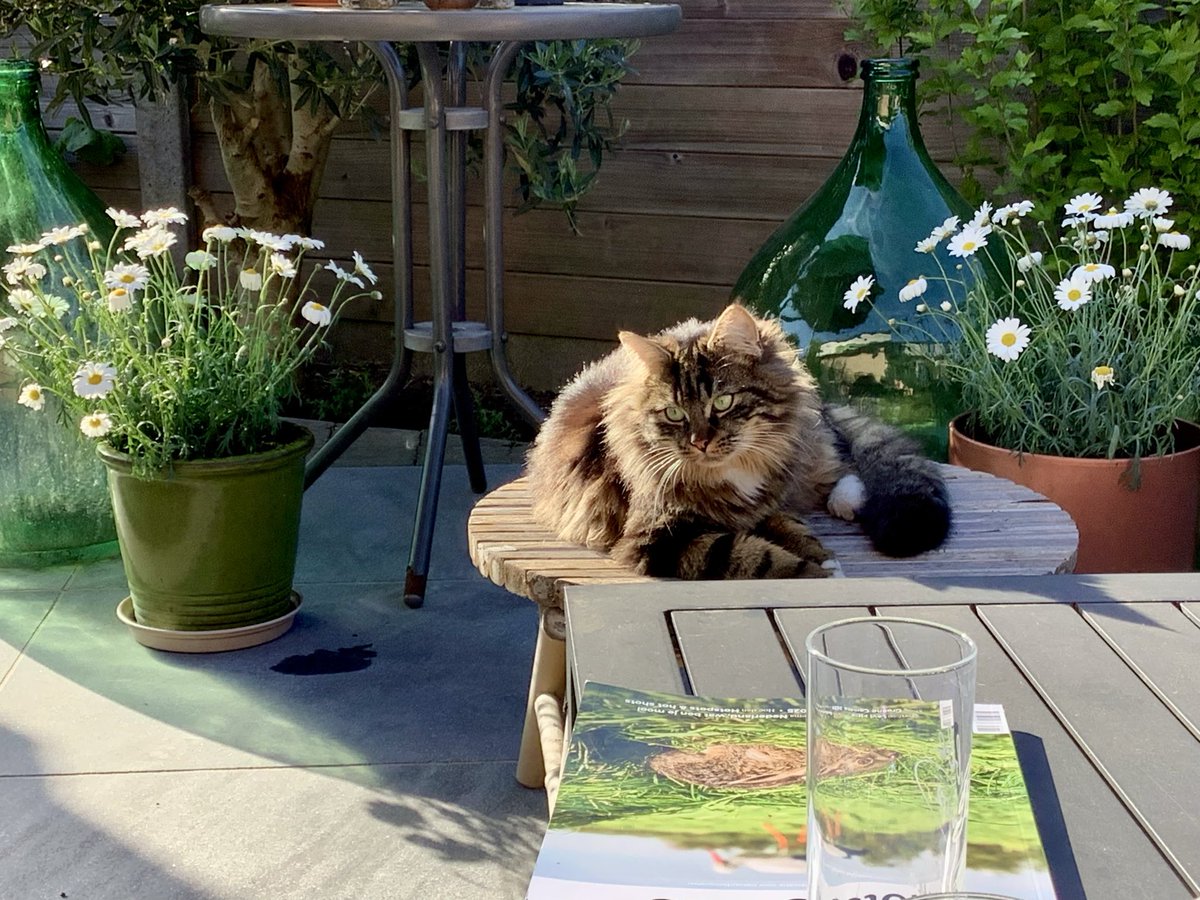 Nadine Algoet tweet media