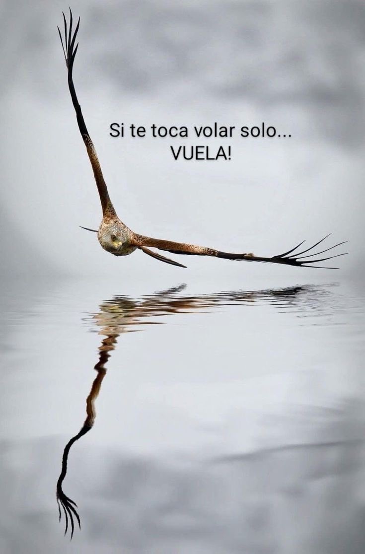 Psico-Avanzando (@avanzandoacasa) on Twitter photo 