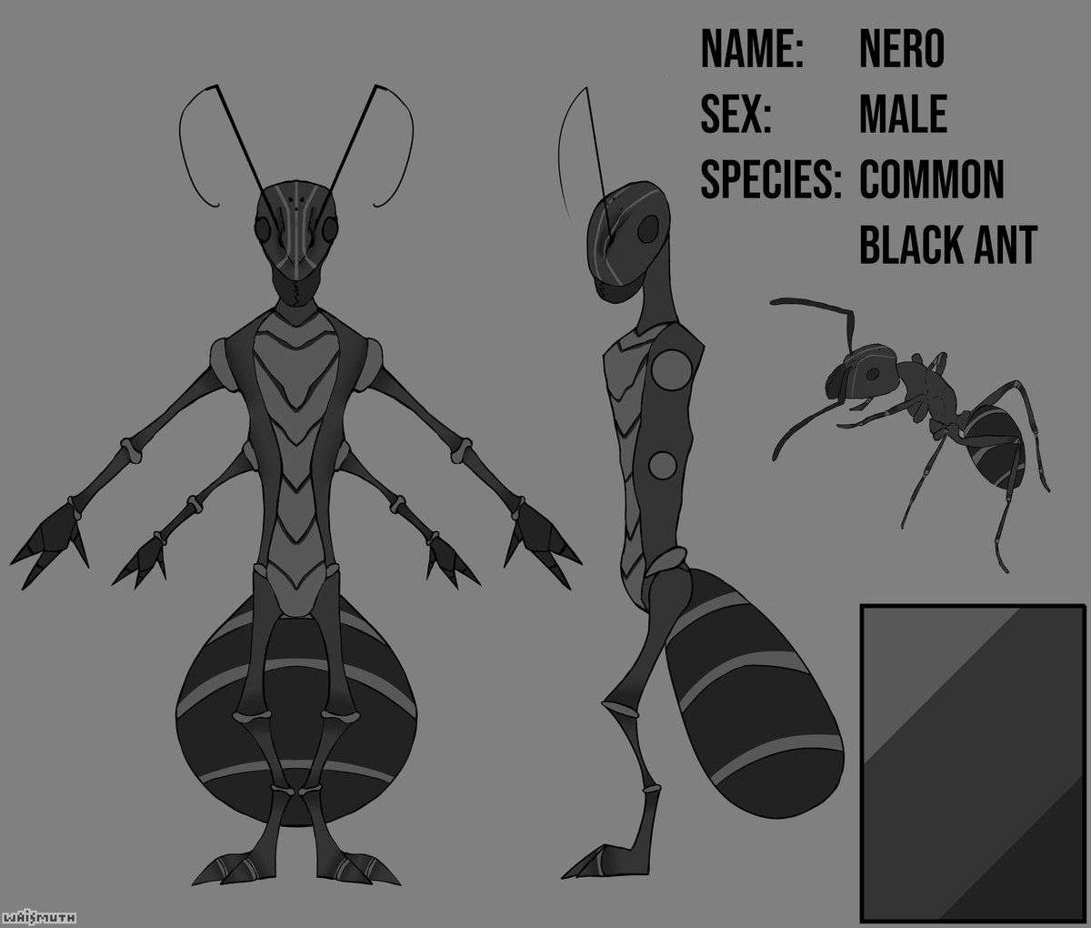 Ant Insectoid character design commission