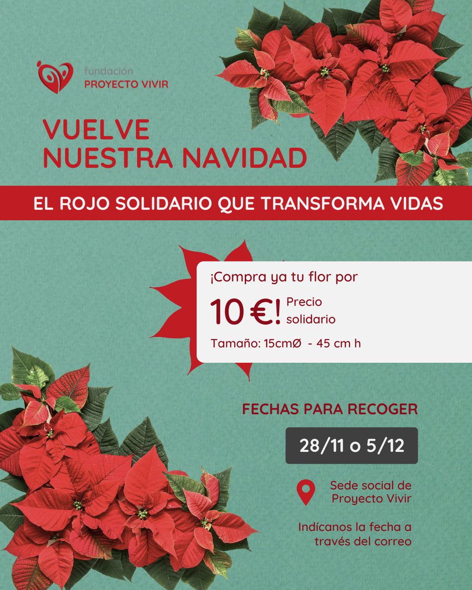 Vuelve nuestra Navidad con el rojo solidario que transforma vidas ❤️

Compra tu flor de Pascua solidaria por 10 € y colabora con Proyecto Vivir.

💳 ES75 3159 0066 9828 5328 2123
📲 Bizum ONG 01126
📧 Y envía el justificante a administracion@proyectovivir.es