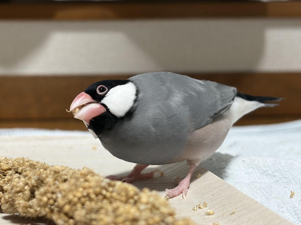 おいしそうに食べるねえ