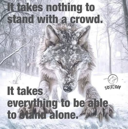 EuropaFreyja's tweet image. 