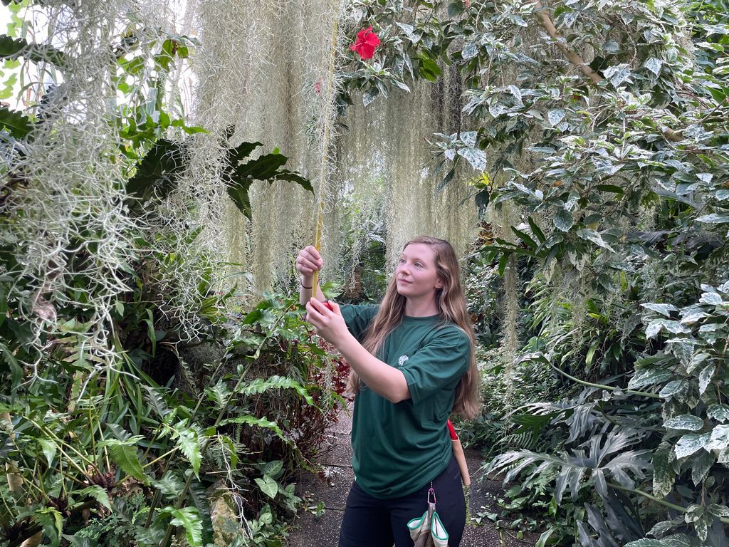 SRUC's tweet image. The Horticulture (Plantsmanship) BSc (Hons) degree programme provides a pathway to careers in horticulture by developing skills in plant cultivation and expertise in plant biodiversity. 

Find out more and apply now 👉 buff.ly/d9aFWbB