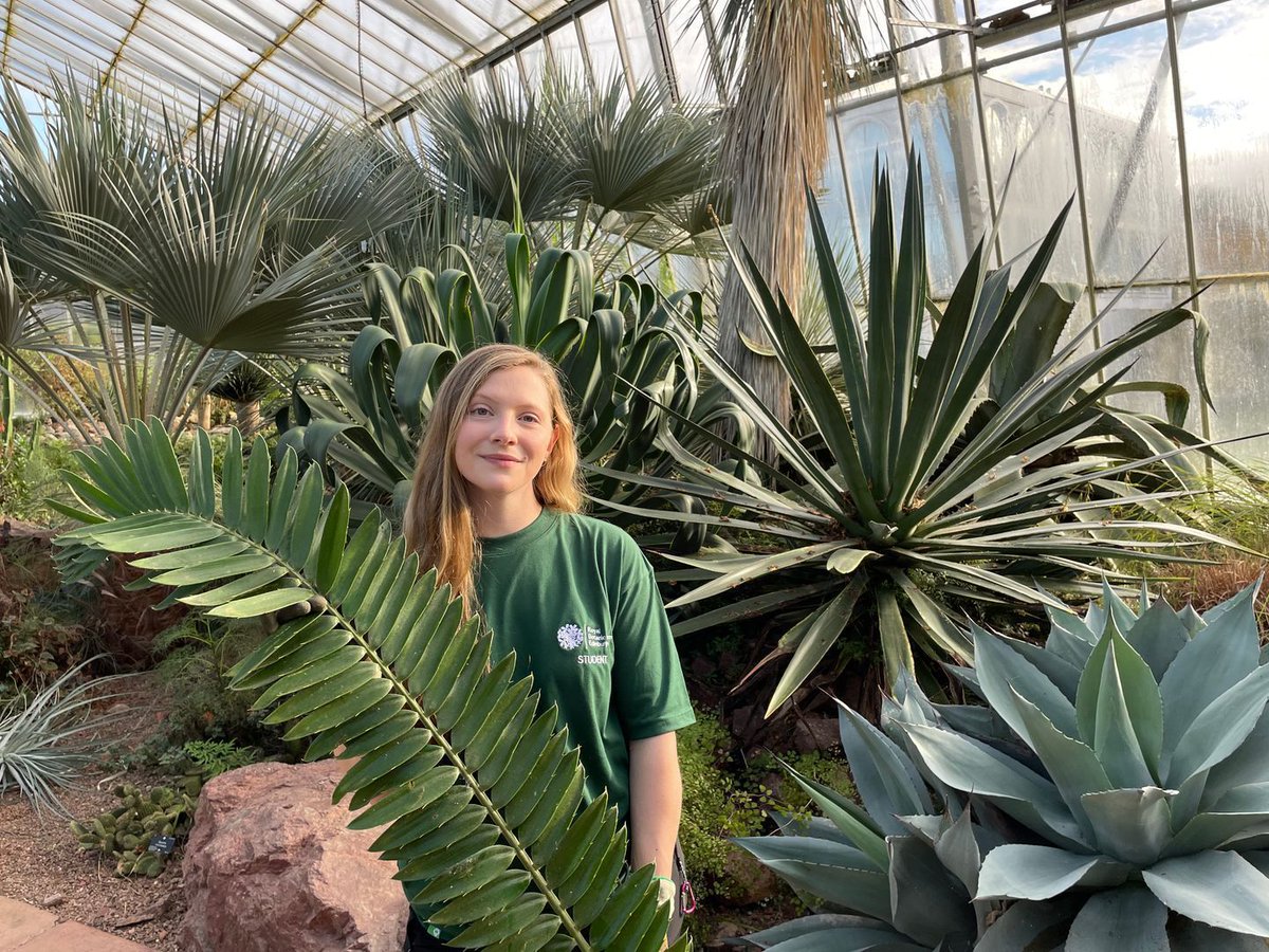 SRUC's tweet image. The Horticulture (Plantsmanship) BSc (Hons) degree programme provides a pathway to careers in horticulture by developing skills in plant cultivation and expertise in plant biodiversity. 

Find out more and apply now 👉 buff.ly/d9aFWbB