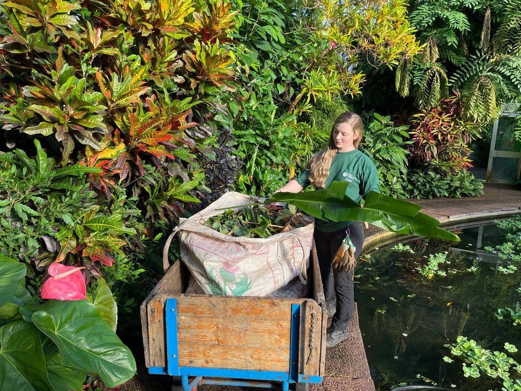 SRUC's tweet image. The Horticulture (Plantsmanship) BSc (Hons) degree programme provides a pathway to careers in horticulture by developing skills in plant cultivation and expertise in plant biodiversity. 

Find out more and apply now 👉 buff.ly/d9aFWbB