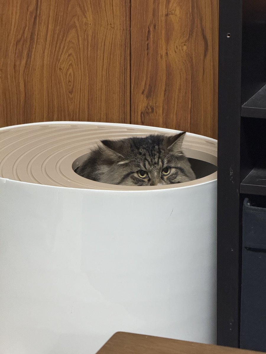 とまとにんじん。 (@Tomato76843591) / Posts / X